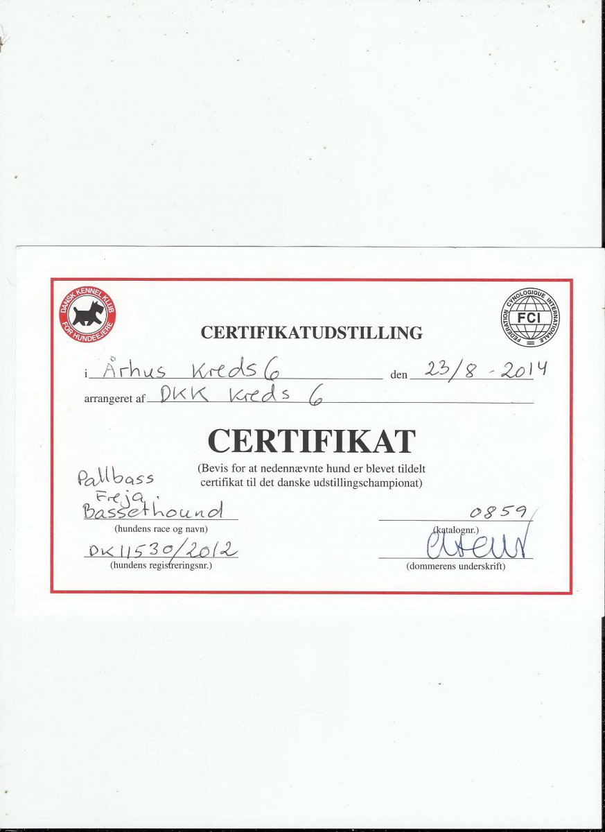 1. Cert.